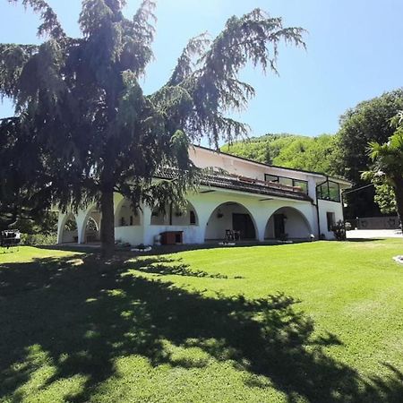 לינה וארוחת בוקר Montefiore Conca "Cara Pace" In Collina Per Famiglie מראה חיצוני תמונה