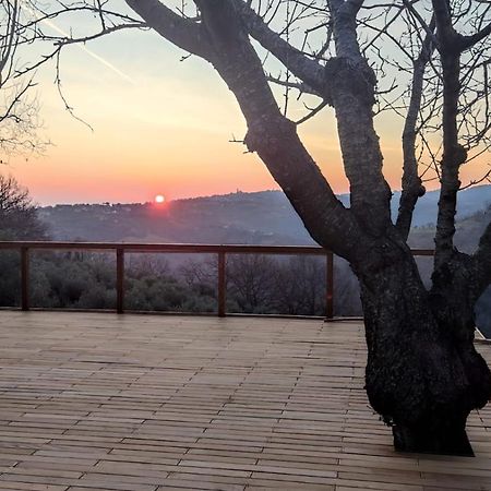 לינה וארוחת בוקר Montefiore Conca "Cara Pace" In Collina Per Famiglie מראה חיצוני תמונה