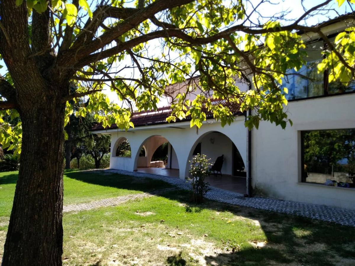 לינה וארוחת בוקר Montefiore Conca "Cara Pace" In Collina Per Famiglie מראה חיצוני תמונה