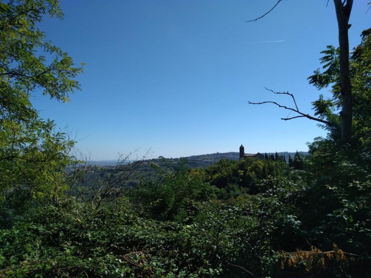 לינה וארוחת בוקר Montefiore Conca "Cara Pace" In Collina Per Famiglie מראה חיצוני תמונה