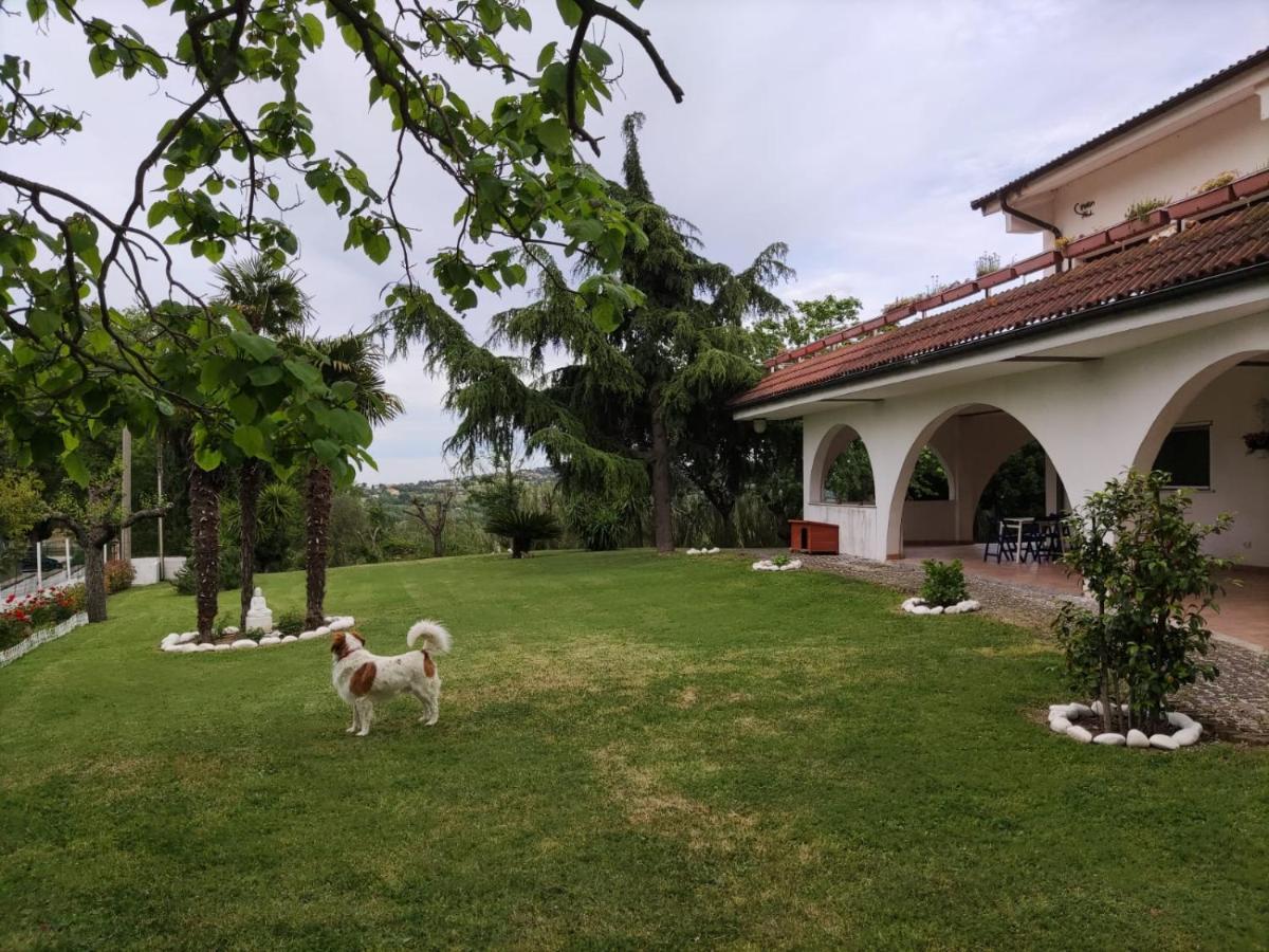 לינה וארוחת בוקר Montefiore Conca "Cara Pace" In Collina Per Famiglie מראה חיצוני תמונה