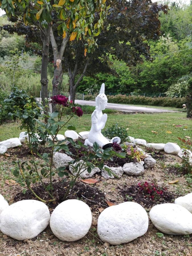 לינה וארוחת בוקר Montefiore Conca "Cara Pace" In Collina Per Famiglie מראה חיצוני תמונה